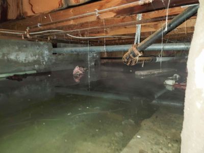 Basement Restoration Service in Mesa, AZ