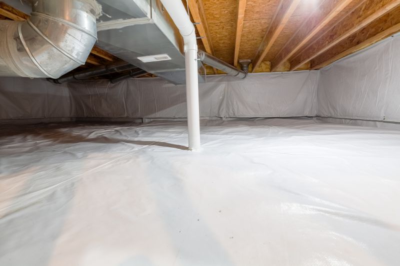Crawlspace Water Cleanup in Mesa, AZ