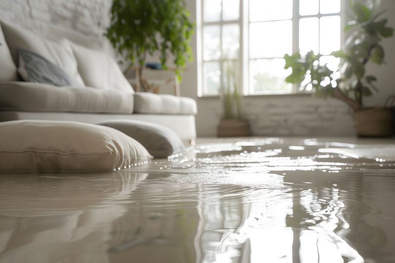 Flood Damage Restoration in Scottsdale, AZ