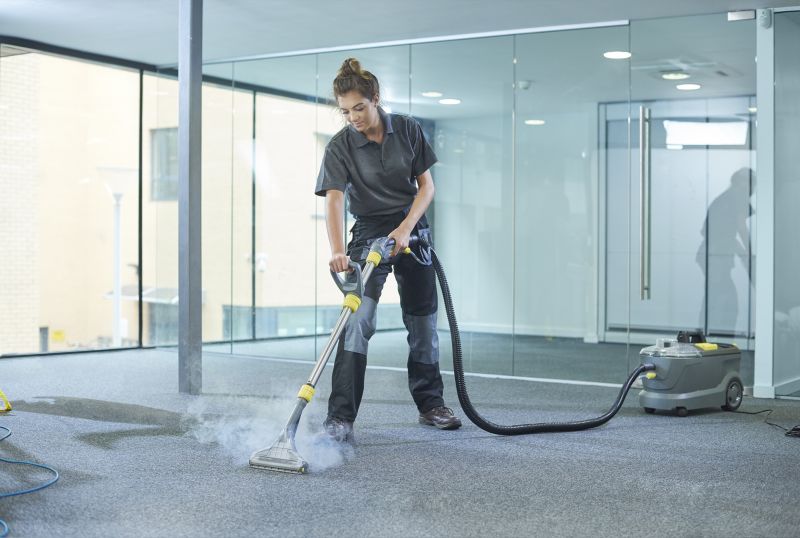 Professional Cleaning Techniques