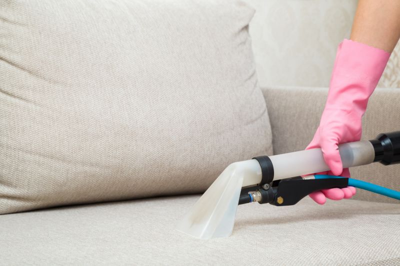 Furnishings and Carpet Cleaning