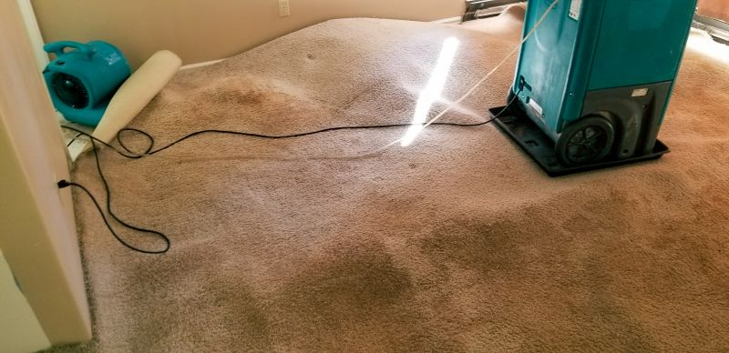 Water Extraction Service in Chandler, AZ