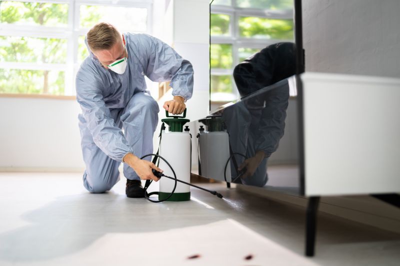 Odor Removal Specialists
